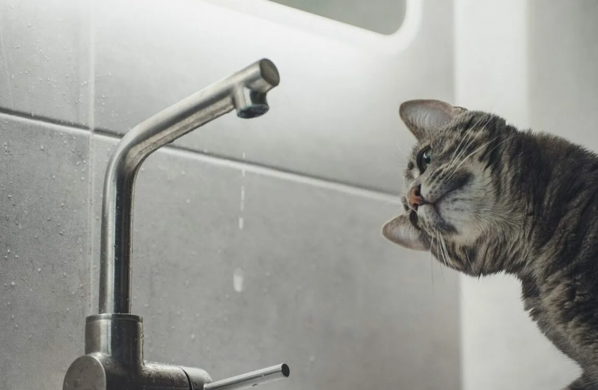 Без воды тепла и света начался день у некоторых новороссийцев