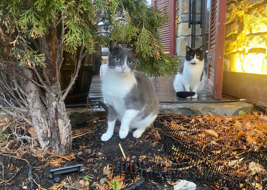 Не делайте этого! Чего стоит сегодня опасаться знакам зодиака