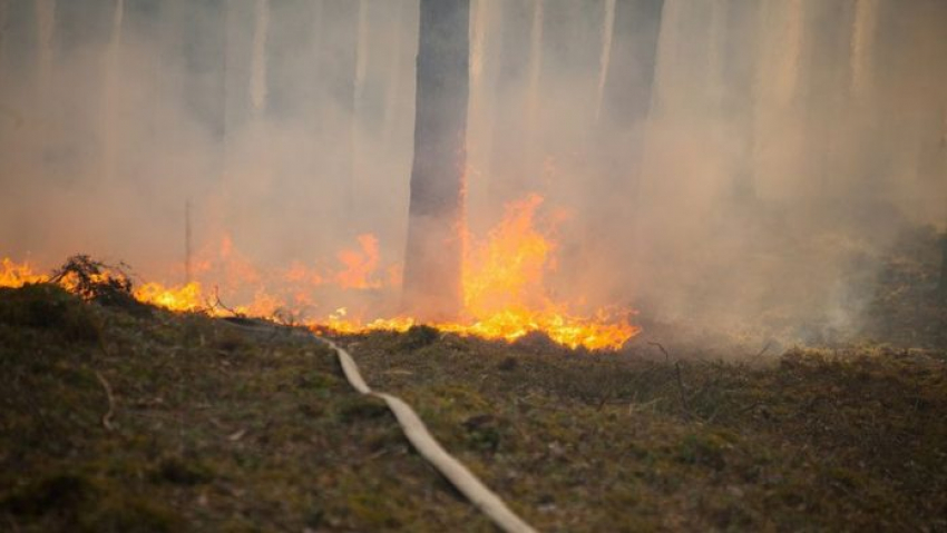 В Новороссийске на горе Колдун произошел крупный пожар