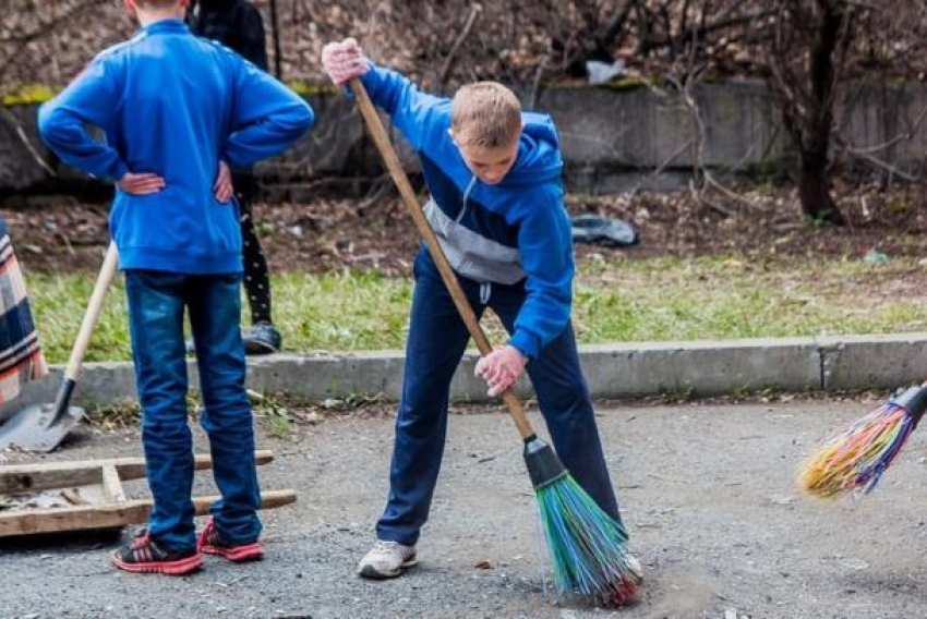 Новороссийских школьников коснется новый законопроект о трудовом воспитании