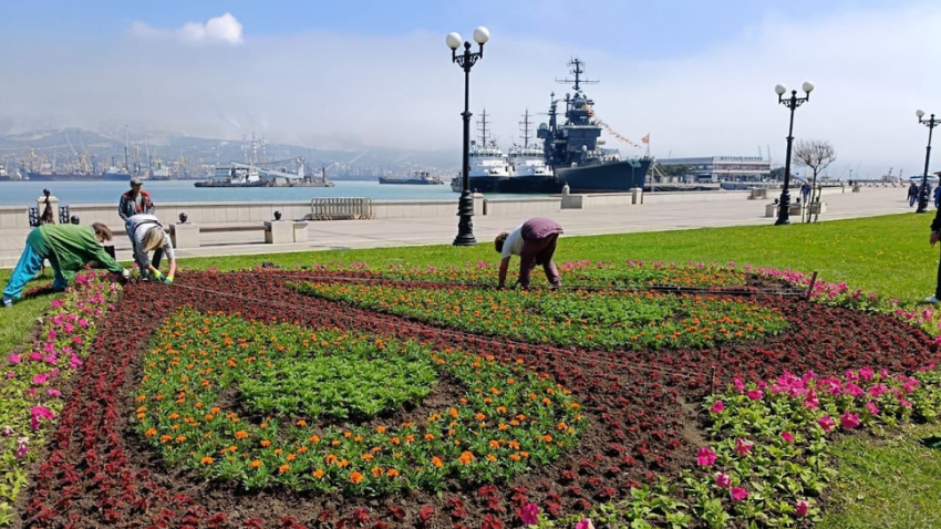 Посадят точно: к озеленению Новороссийска глава требует привлечь родителей школьников