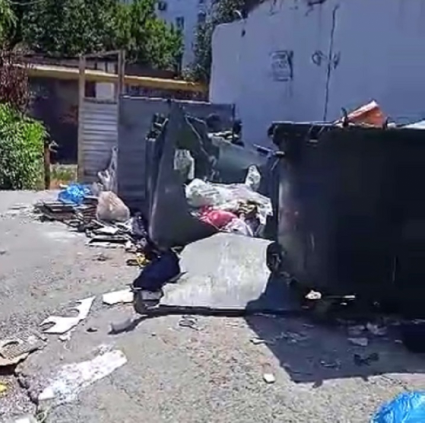 "За что мы платим деньги?!": мусорная катастрофа в новороссийском дворе 