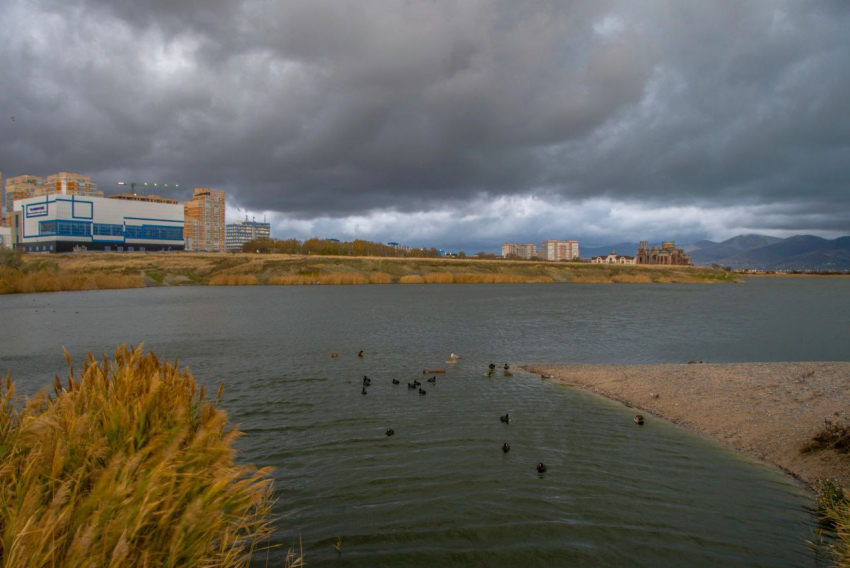 Погода в Новороссийске: выходные с ливнями и волнами