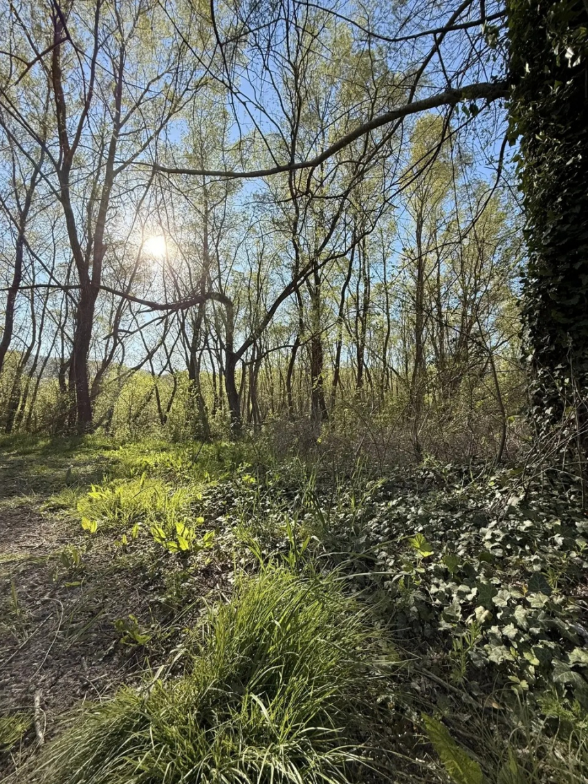Выходные спасут лето: температура на Кубани поднимется до 23 градусов в субботу