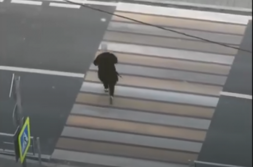 В Новороссийске построили пешеходный переход из «ниоткуда» в «никуда"