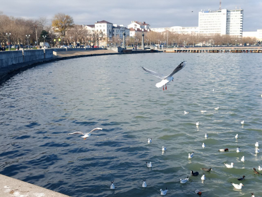  Самый тёплый день недели: о погоде в Новороссийске 2 марта