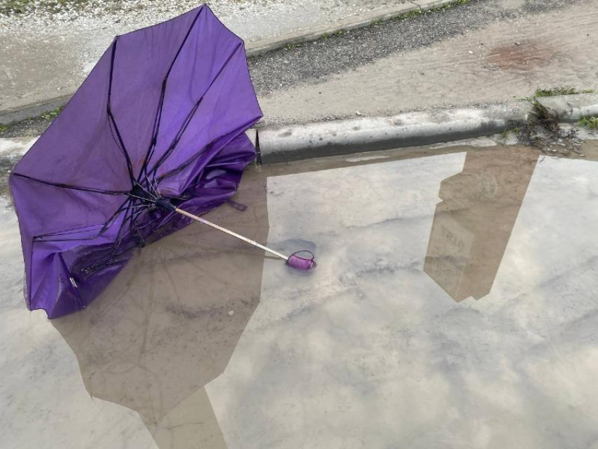 В Новороссийске погода нахмурилась: целый день ветер с дождем