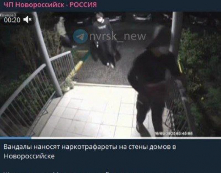 В Новороссийске возбудили уголовное дело в отношении четырех наркотрафаретчиков 