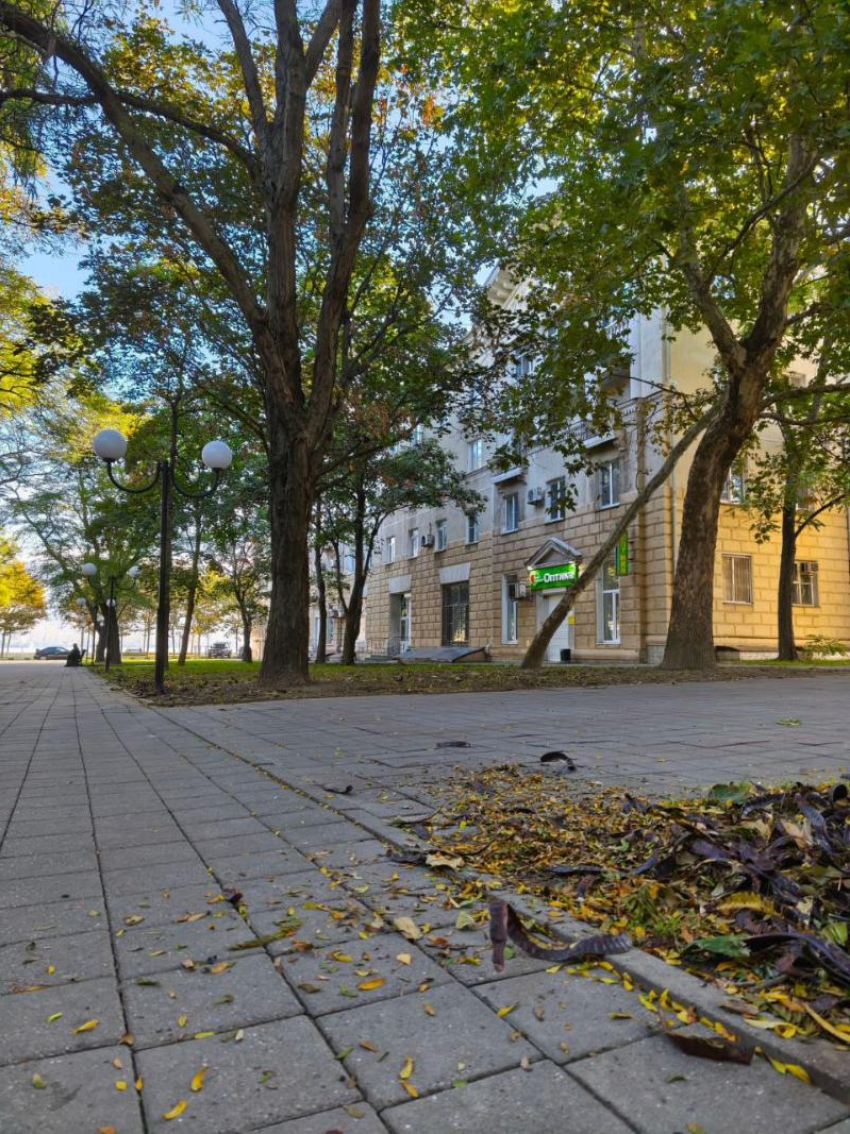 Дежурный по городу: что произошло в Новороссийске за сутки 20 октября