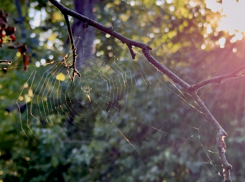 Погода в Новороссийске 6 октября: почти весна 
