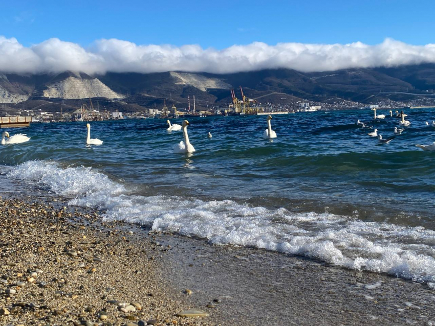 Гороскоп от «Блокнота»: Рыбы – проявите эмпатию, Девы – ведите за собой