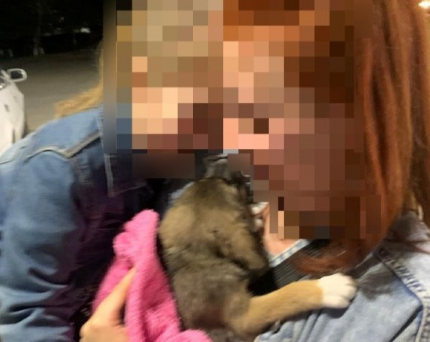 «Эта дамочка её убила!»: душераздирающей историей поделилась жительница Новороссийска