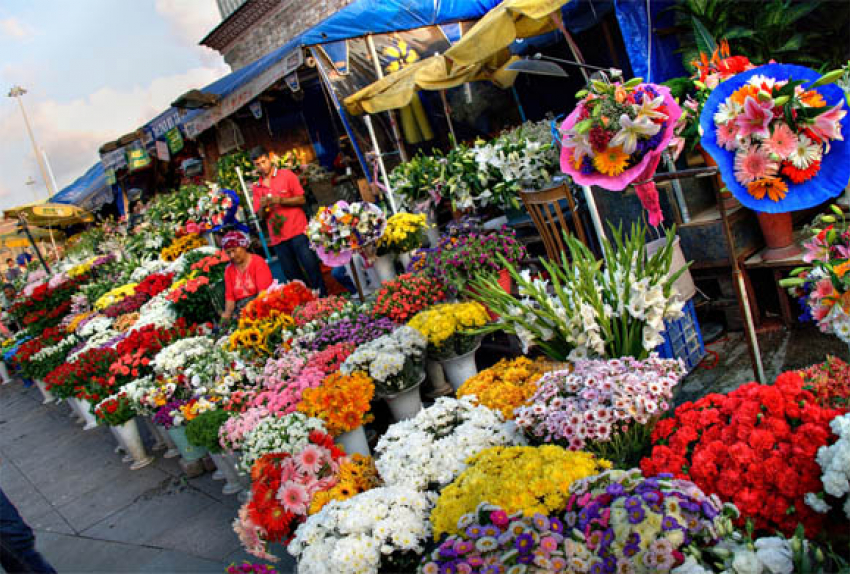 Весна близко: новороссийцам рассказали, где покупать цветы к 8 марта