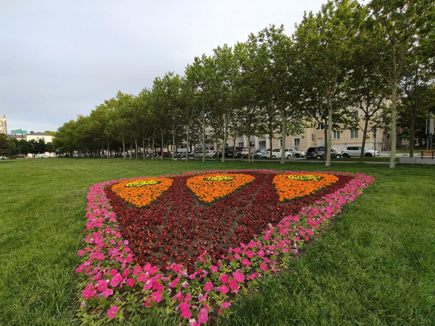 Погода в Новороссийске: с каждым днём становится теплее 