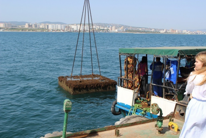 «Послания потомкам» достали спустя 50 лет со дна моря в Новороссийске