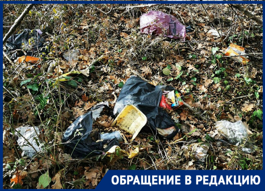 Апокалипсис сегодня: жительница пригорода Новороссийска возмущена свинством людей