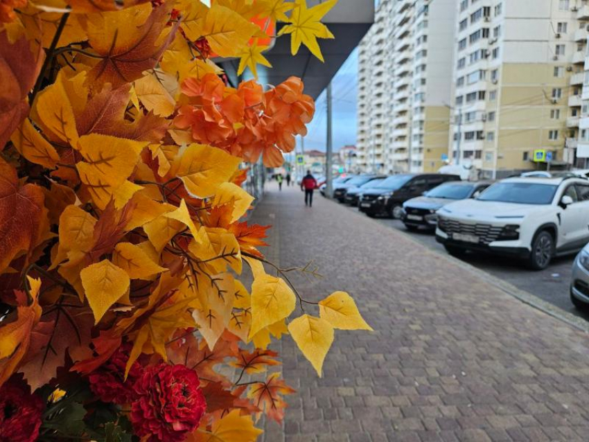 Рыбам в субботу хорошо отдохнуть душой и телом, а Львам – прогуляться по городу