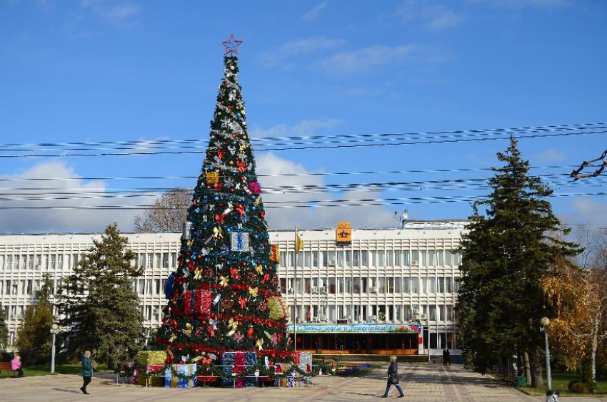 Прокуратура Новороссийска защитила поставщика новогодней елки за 6,7 млн рублей от лишних штрафов