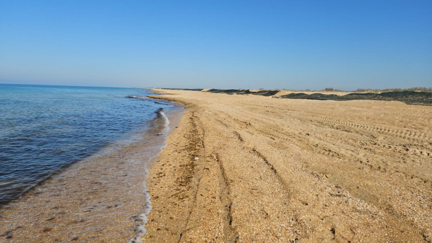 Краснодарский край первым в мире столкнулся с таким масштабным загрязнением мазутом