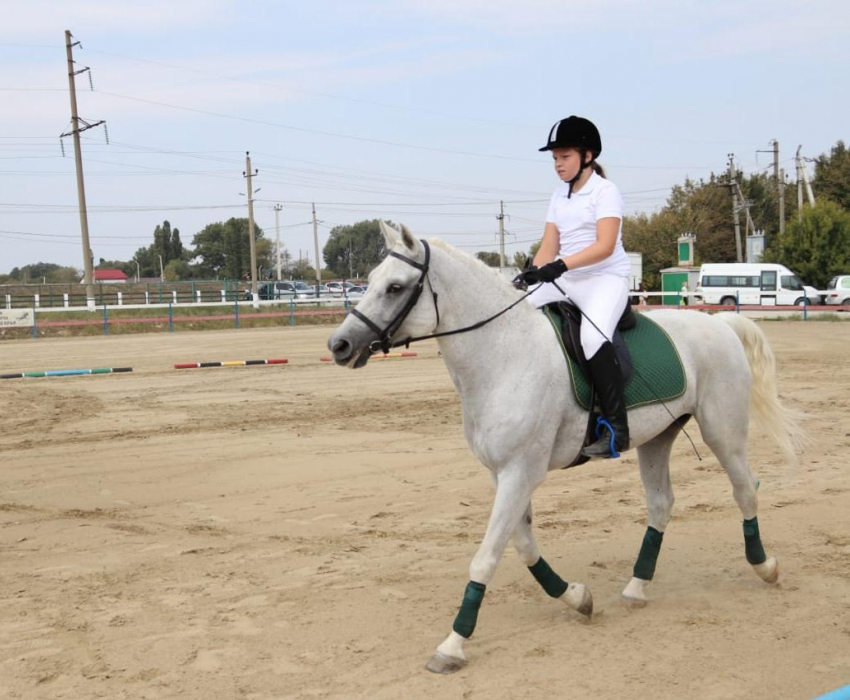 Соревнования по конному спорту для особенных детей прошли в Новороссийске