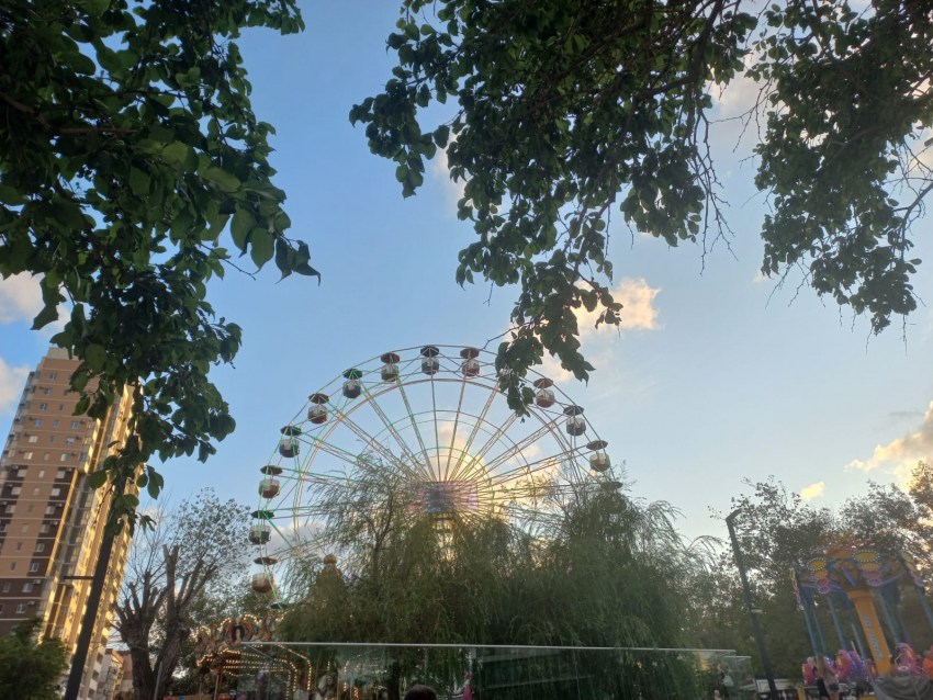 Погода в Новороссийске: жара после ливней