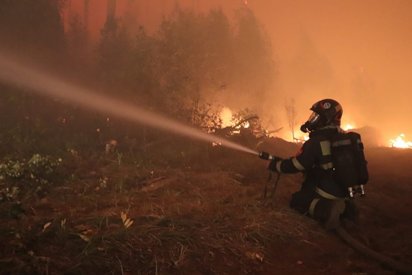 Берегите лес: новороссийцев, спровоцировавших пожар, теперь будут наказывать по всей строгости 