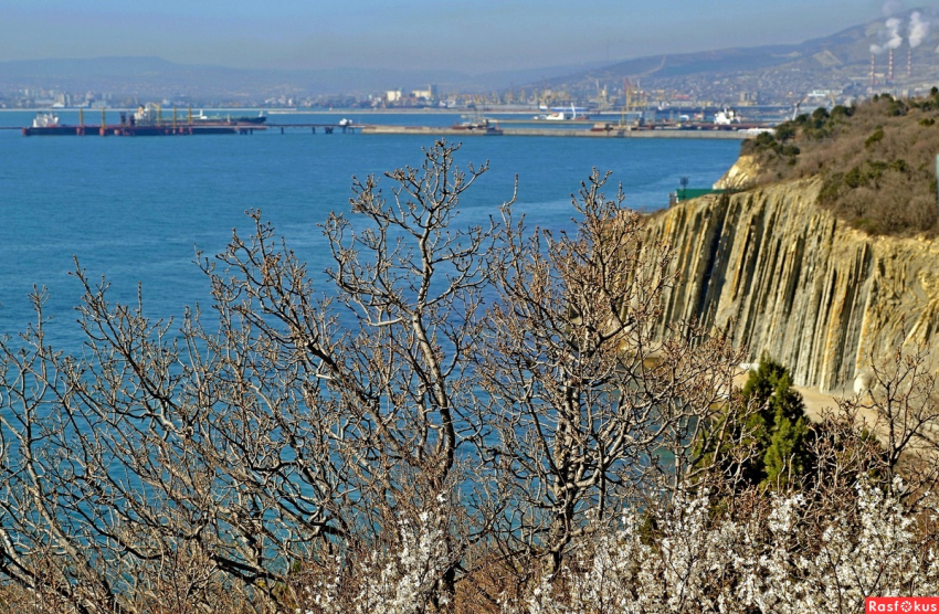 В Новороссийске пасмурно, но ветра нет