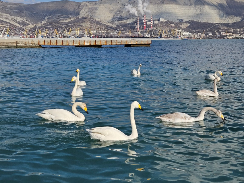 Гороскоп от «Блокнота»: Близнецам не бояться критики, а Ракам сохранять спокойствие 