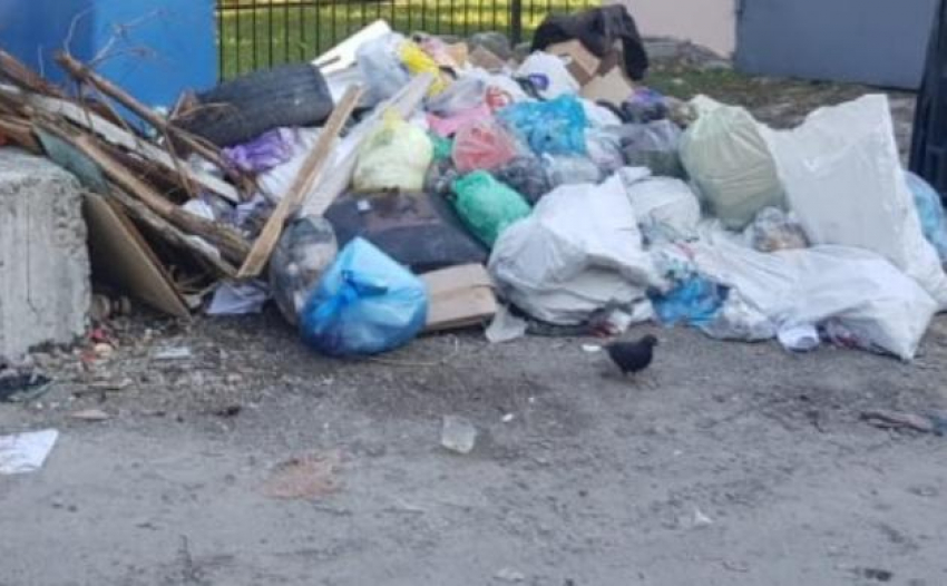 Горы мусора могут засыпать Новороссийск уже в январские праздники