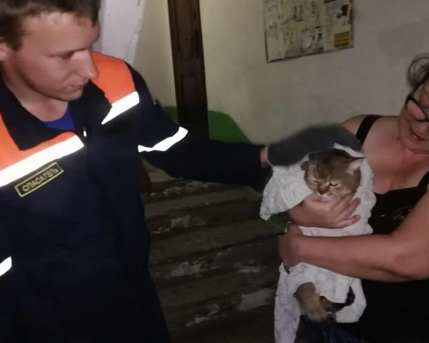 В Новороссийске прошла операция по спасению кота из подвала