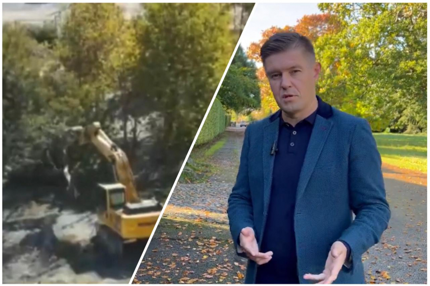 Известный журналист Александр Липейко, живущий в Лондоне, возмущен вырубкой деревьев в Новороссийске
