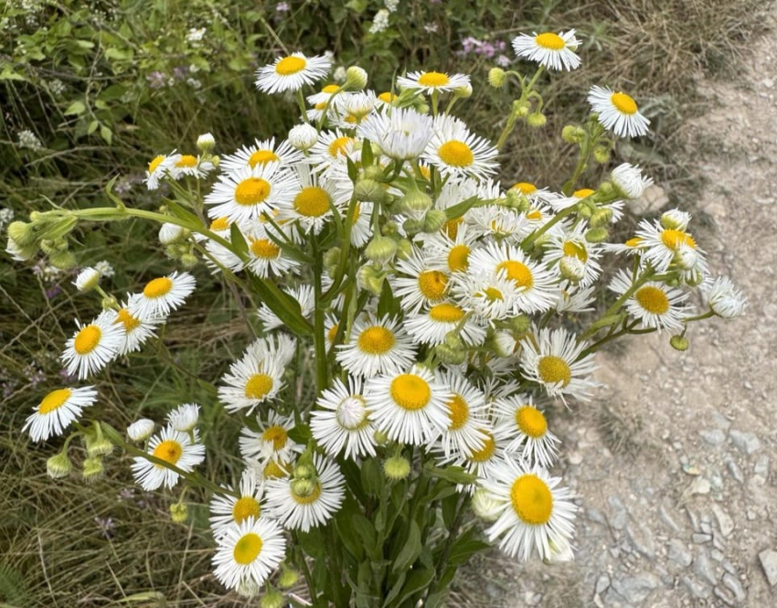 Гороскоп от «Блокнота»: у Скорпионов изменения в личной жизни, а Стрельцы найдут приключения