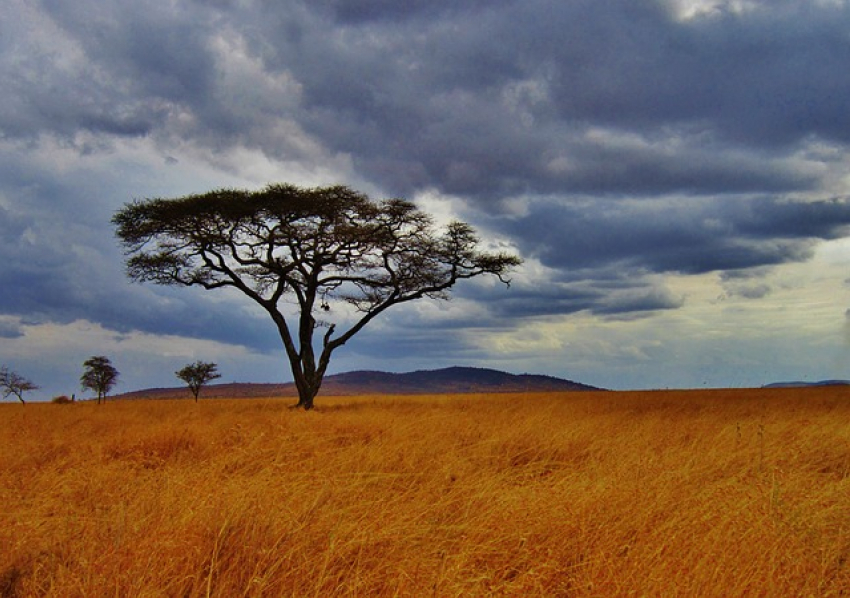 О погоде и развлечениях в Танзании