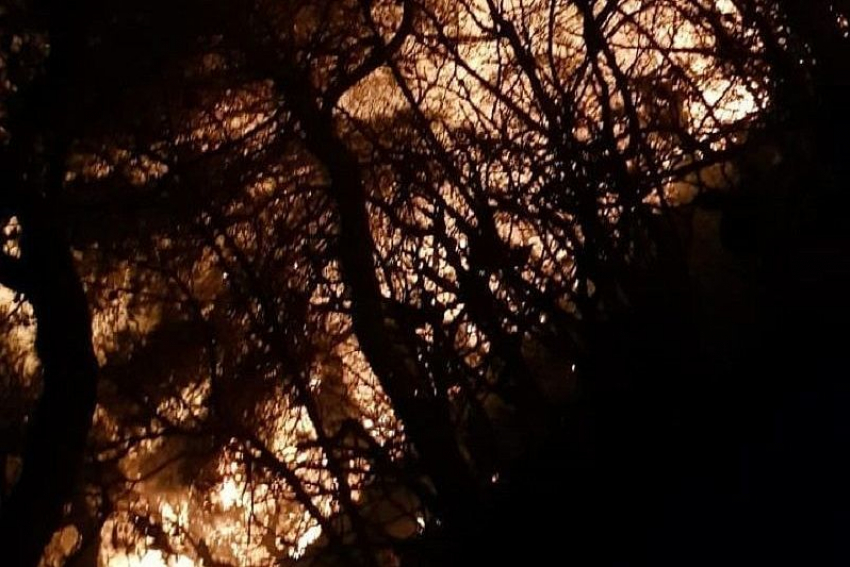Гектар леса выгорел на горе Колдун