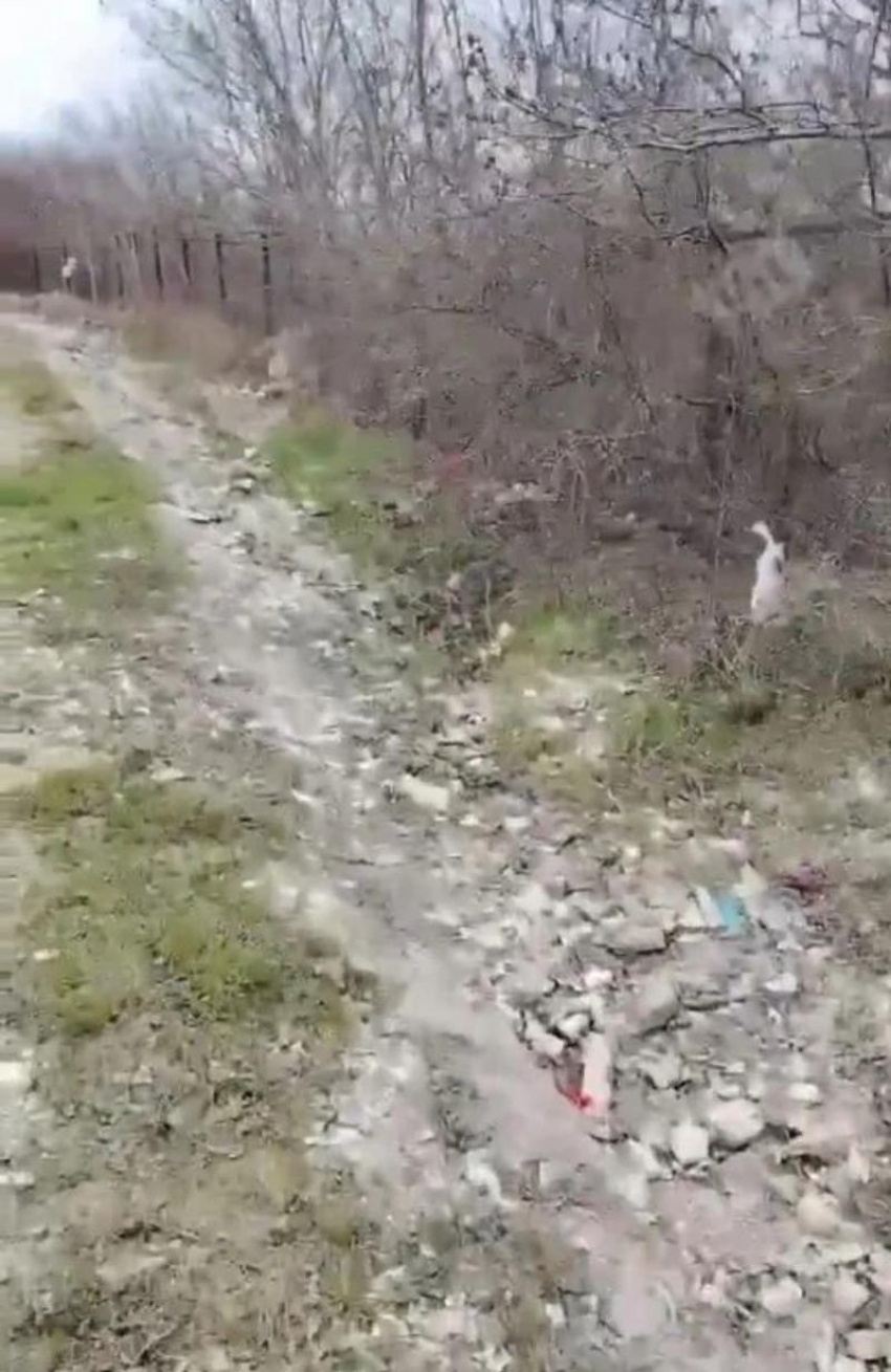 Новороссийцы спросили главу города: почему такое безобразие творится на новом кладбище Кабахаха