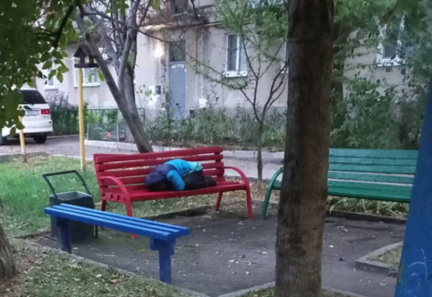 Живёт во дворе и ночует на лавке: новороссийцы не знают, что делать с бездомной