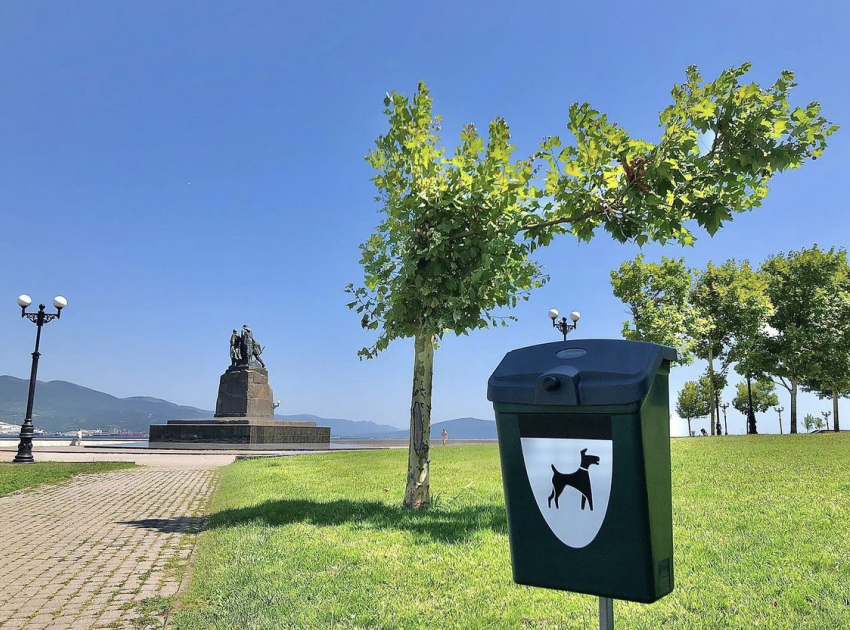 На набережной Новороссийска появились догбоксы