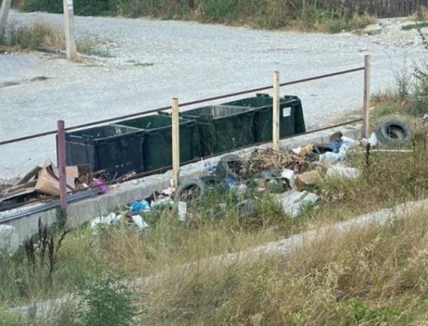 Ситуация доходит до абсурда: сотрудники «ЭкоЮг» копаются в мусорных баках в поиске подходящего мусора