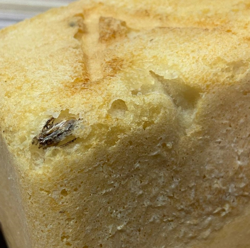 Протеинчик: жительница Новороссийска купила хлеб с тараканом 