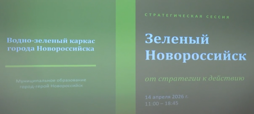 «Зеленый каркас»: разработка плана по озеленению Новороссийска на 64 млн рублей началась