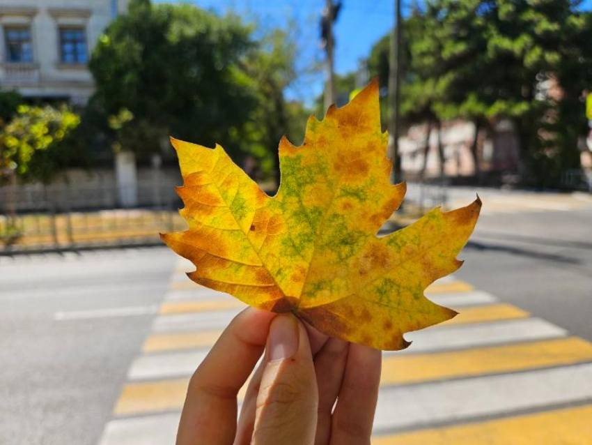 Погода в Новороссийске 2 сентября: продолжаем наслаждаться теплом 