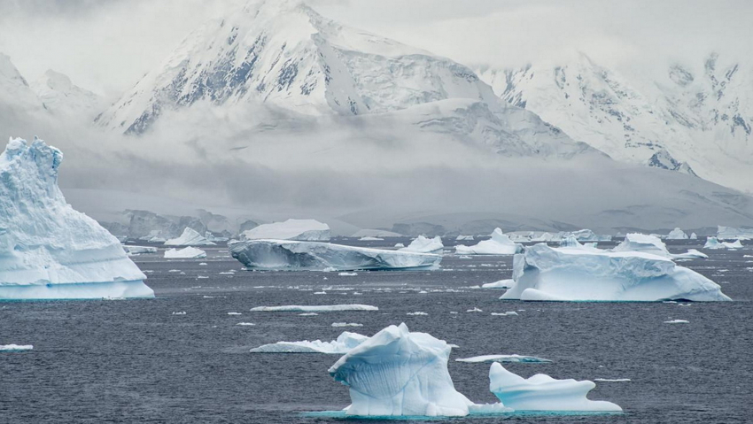 Новороссийцы узнают чуть больше об Антарктиде 