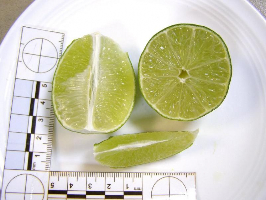 При проверке «лимон» оказался «лаймом»: таможенники Новороссийска пресекли незаконный ввоз цитрусовых