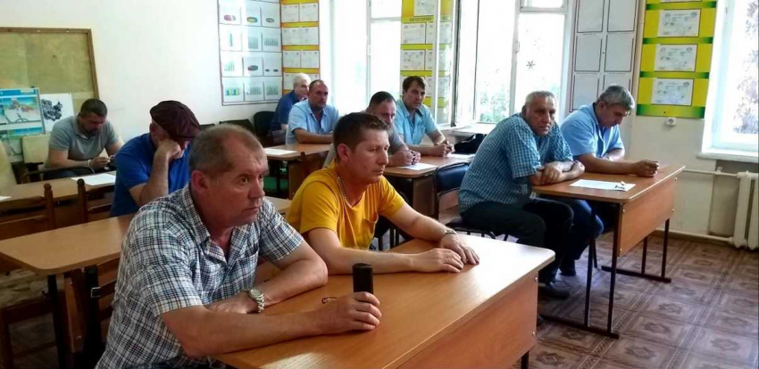 Водители маршруток ответили за хамство и нарушение ПДД в Новороссийске