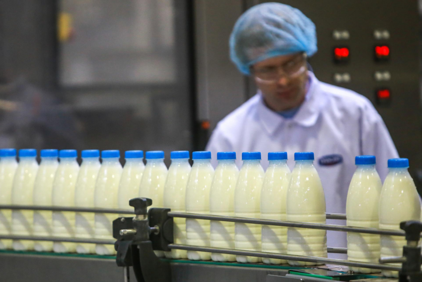 Решение отложено: новороссийские фермеры могут не торопиться маркировать молочную продукцию