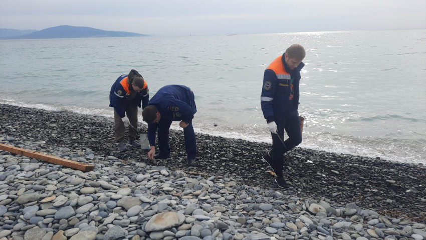 Спасатели чистят пляж Новороссийска от нефтепродуктов - откуда взялись следы мазута