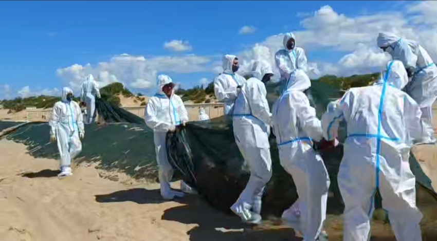 Мазут в Анапе закончился? На пляжах Черноморского побережья убрали защитный вал