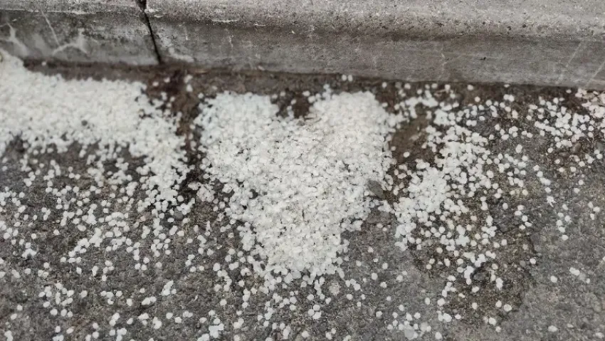 Гороскоп от «Блокнота»: Раки, уделите время семье, а Козероги, сосредоточьтесь на карьере