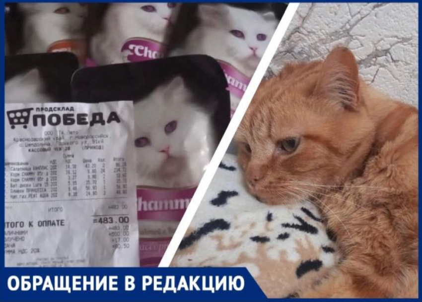 Грустный Пусик: жительница Новороссийска не смогла накормить кота из-за «испорченного» корма