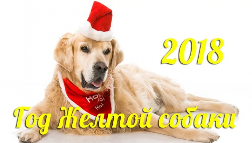 В новогоднюю ночь перекроют центр Новороссийска